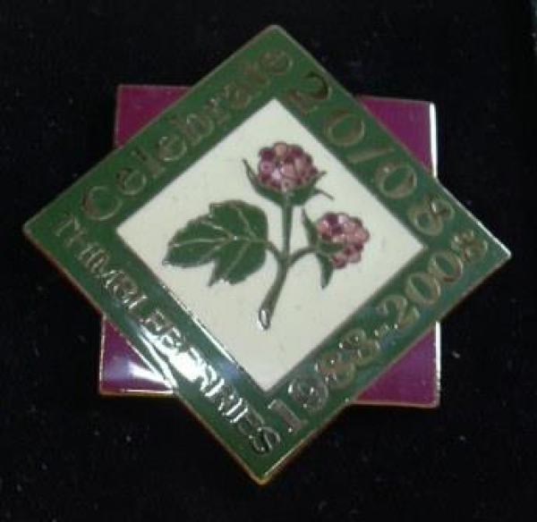 Th - Quilt Pin
